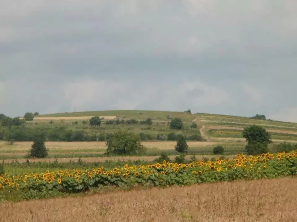 Satul Avramesti